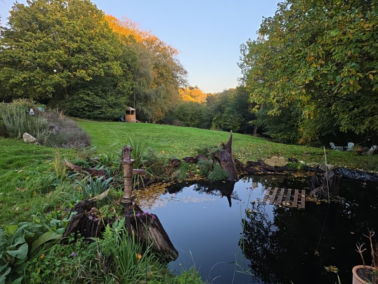 Open lawn beside the pond, surrounded by mature trees